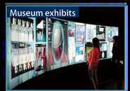Museum Exhibits