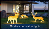 Outdoor Decorative Lights